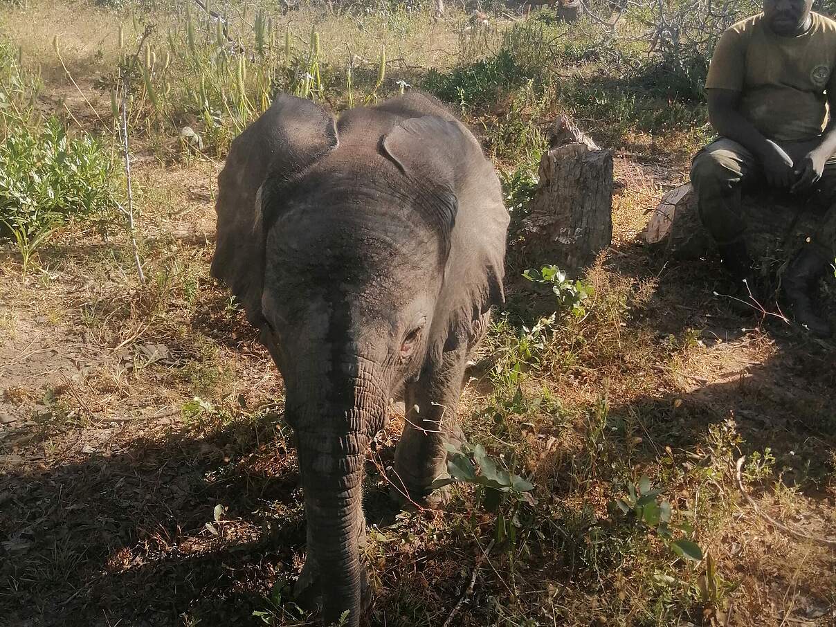 Nun muss noch die Herde von Muhesi gefunden werden © Kili.Crew