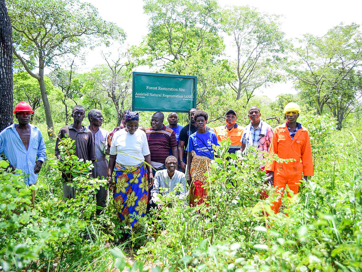 Gemeindewald mit lokaler Bevölkerung in Sambia © Jana Kanig / WWF