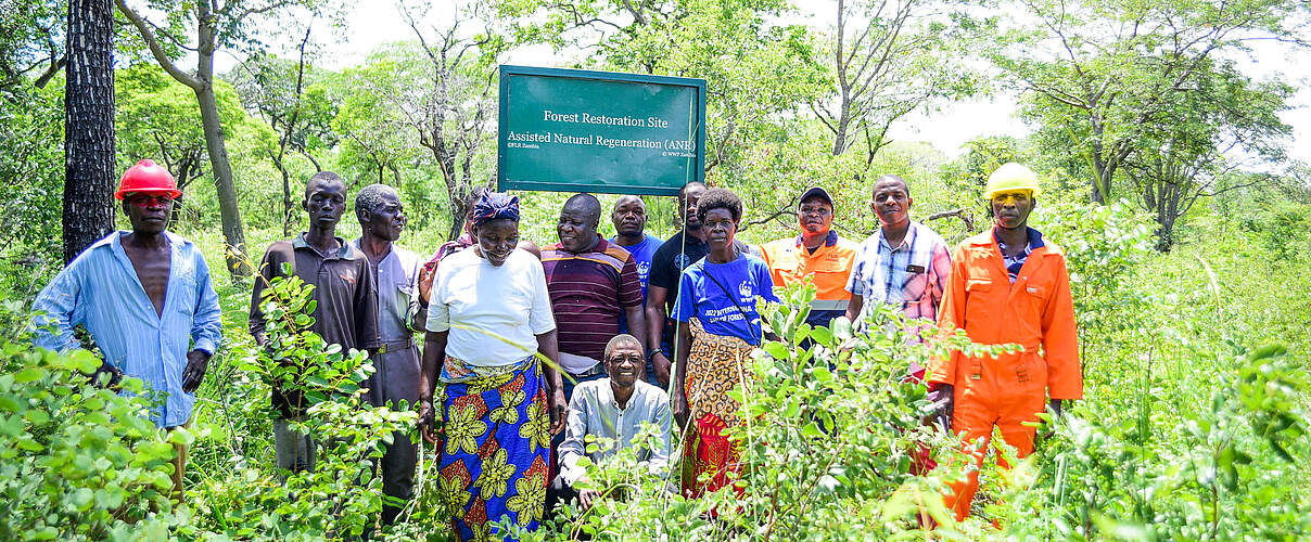 Gemeindewald mit lokaler Bevölkerung in Sambia © Jana Kanig / WWF