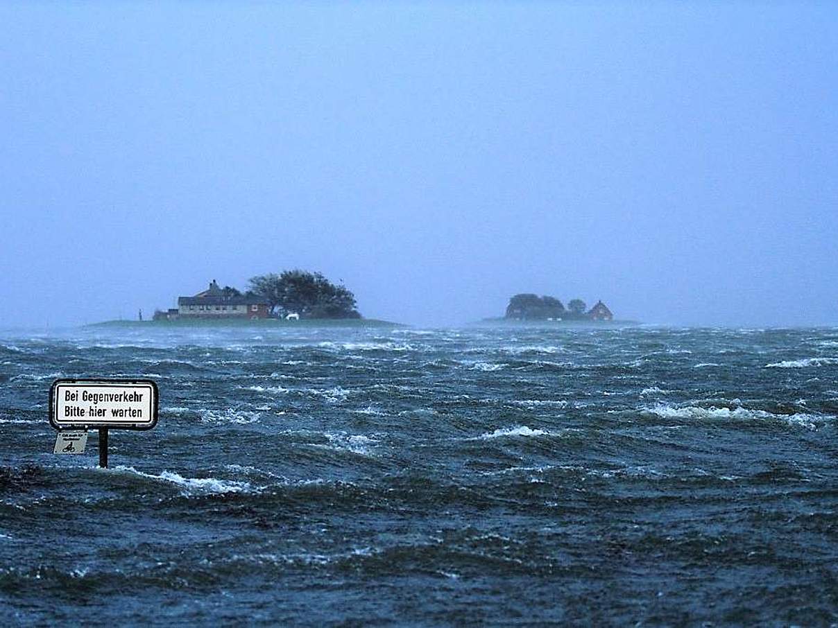 Sturmflut auf Hallig Langeneß © Björn M. Philipps