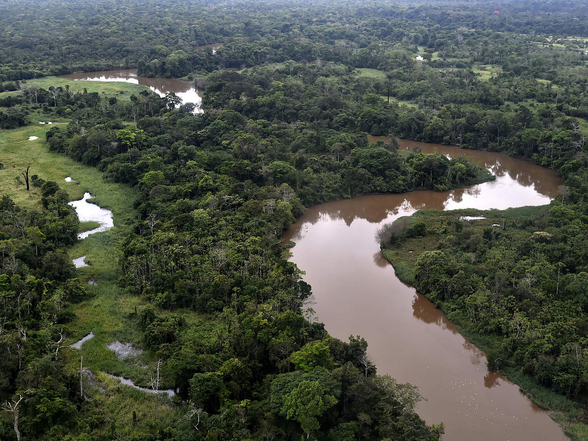 Manuripi-Fluss im Departamento Pando, Bolivien © Adriano Gambarini / WWF Living Amazon Initiative