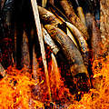 Elfenbein wird verbrannt. © James Morgan / WWF