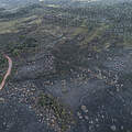 Blick von einer Drohne auf abgebrannte Flächen im Cerrado © Andre Dib / WWF-Brazil