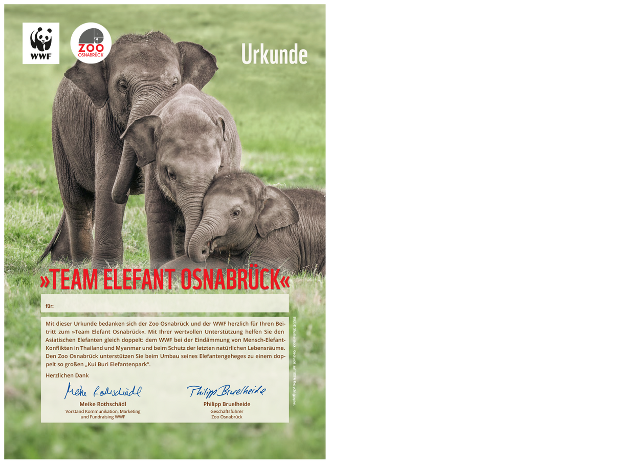 Urkunde des »Team Elefant Osnabrück« © WWF