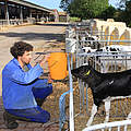 WWF sucht den Ostsee-Landwirt des Jahres 2014 © Norbert Fellechner / WWF