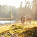 WWF Erlebnistouren-Programm © GettyImages