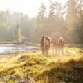 WWF Erlebnistouren-Programm © GettyImages