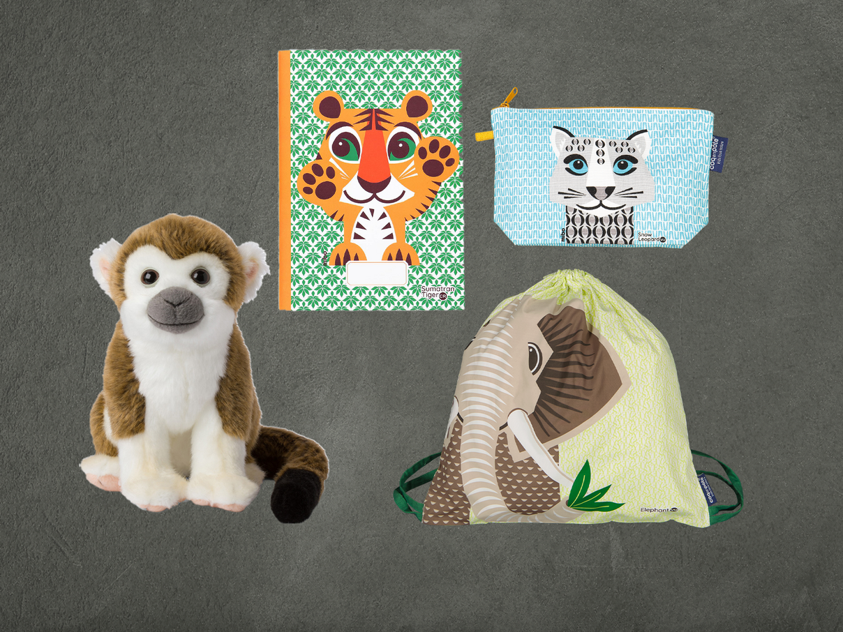 WWF Shop: Back to School