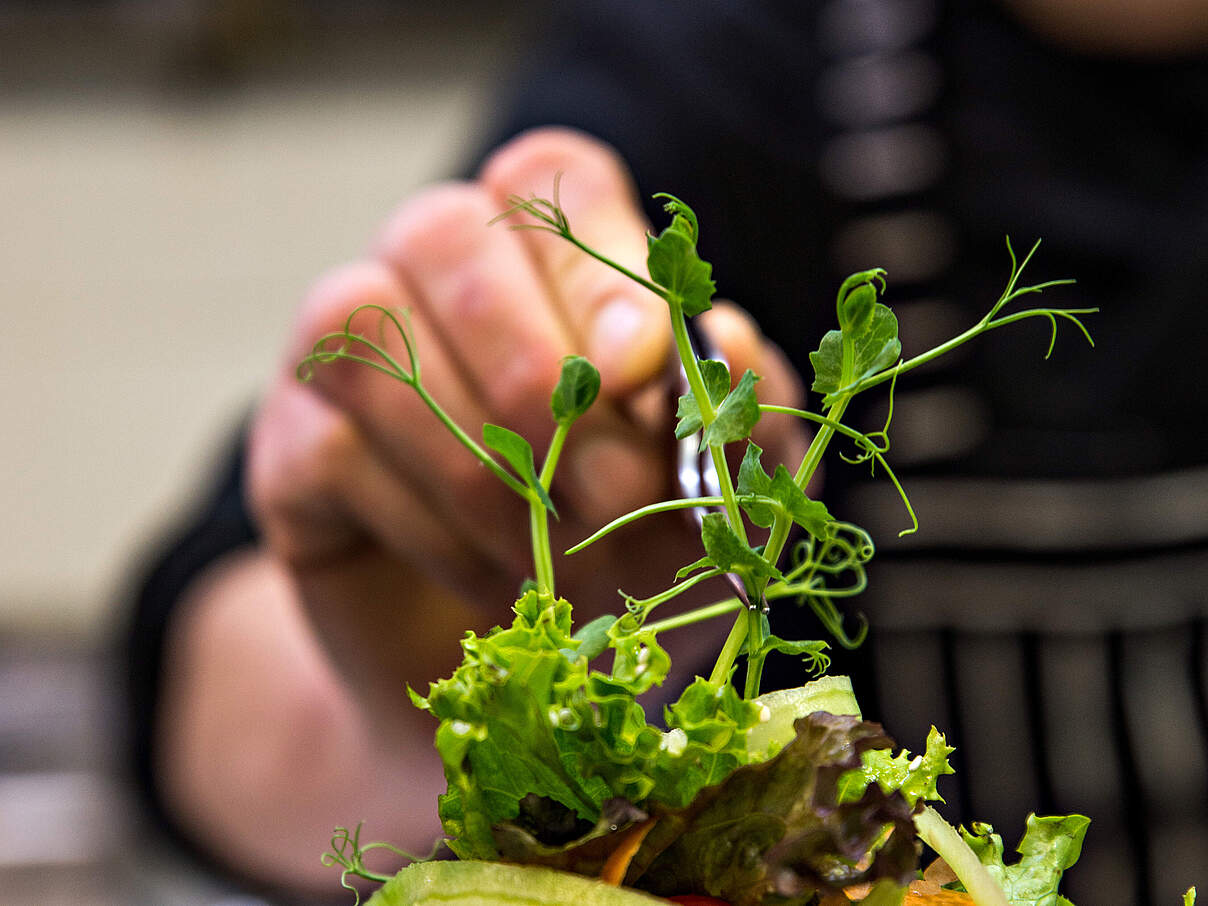 Ein Koch, der den Salat für ein Essen im Hotel herrichtet © Revolu7ion93 / iStock / Getty Images