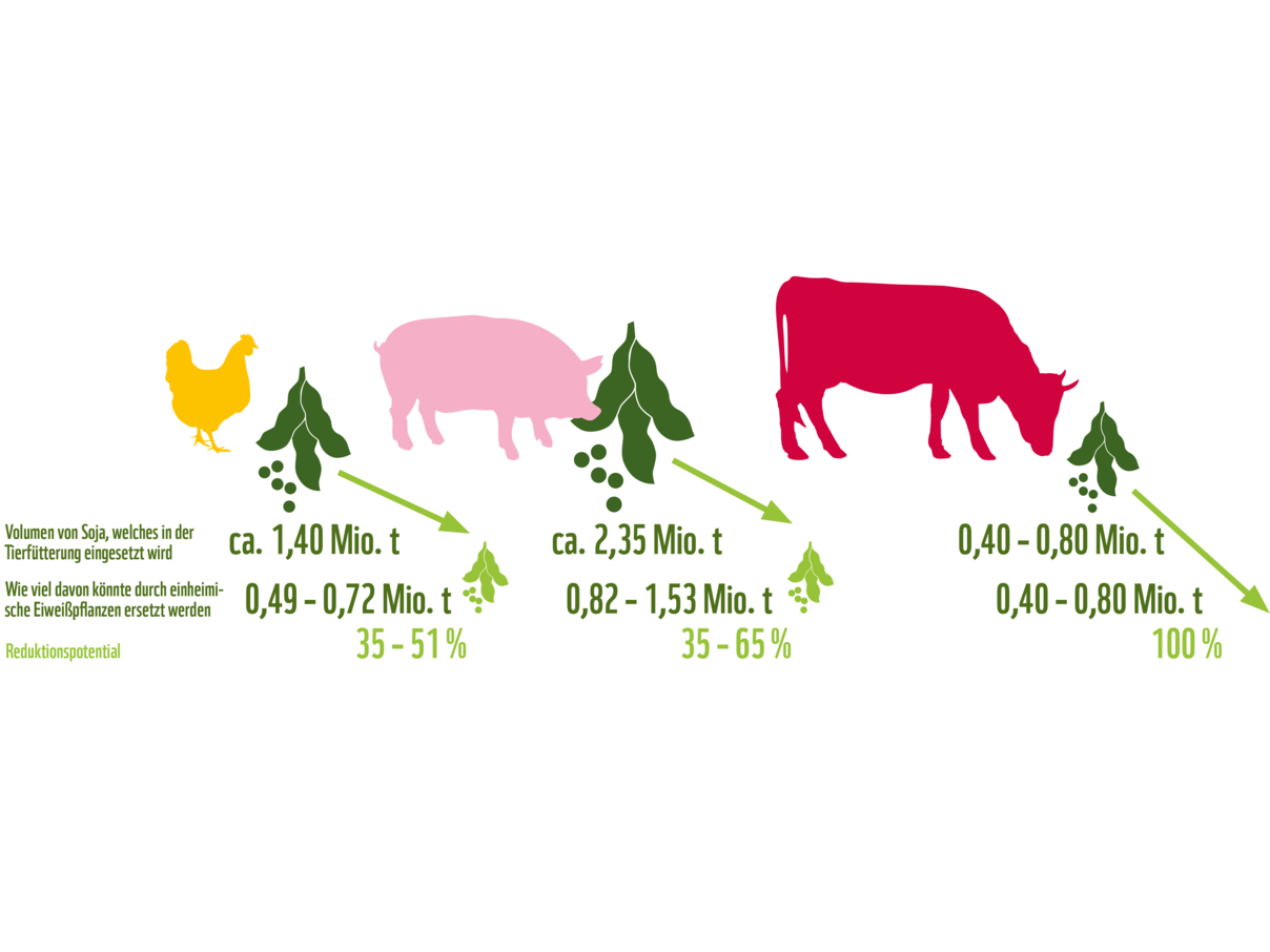 65 Prozent des von Deutschland importierten Sojas ließen sich durch heimische Futtermittel ersetzen © WWF