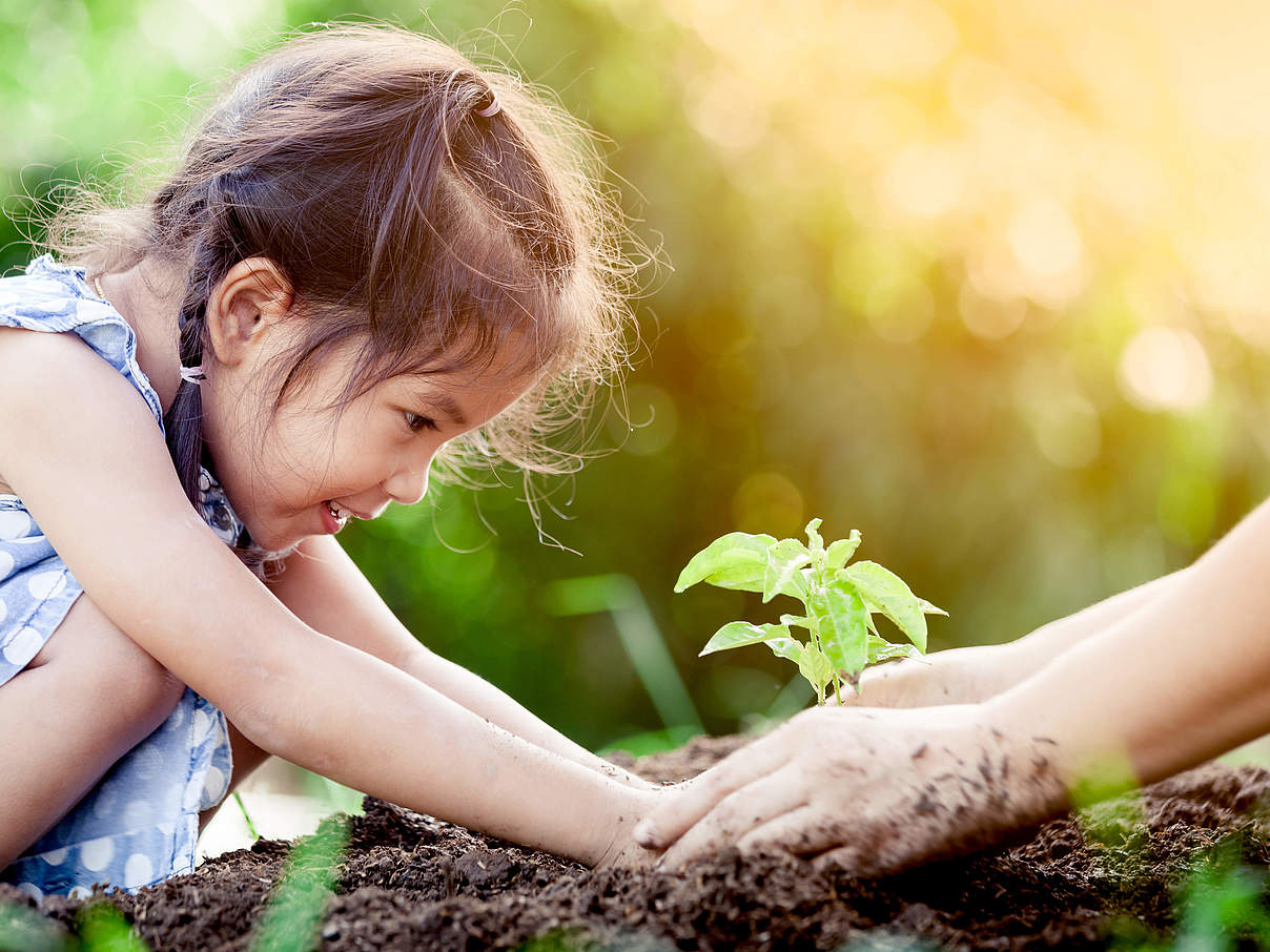 Kind pflanz mit Hilfe eine Pflanze in den Boden © Shutterstock / A3pfamily WWF Kind pflanz mit Hilfe eine Pflanze in den Boden © Shutterstock / A3pfamily WWF