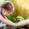 Kind pflanz mit Hilfe eine Pflanze in den Boden © Shutterstock / A3pfamily WWF
