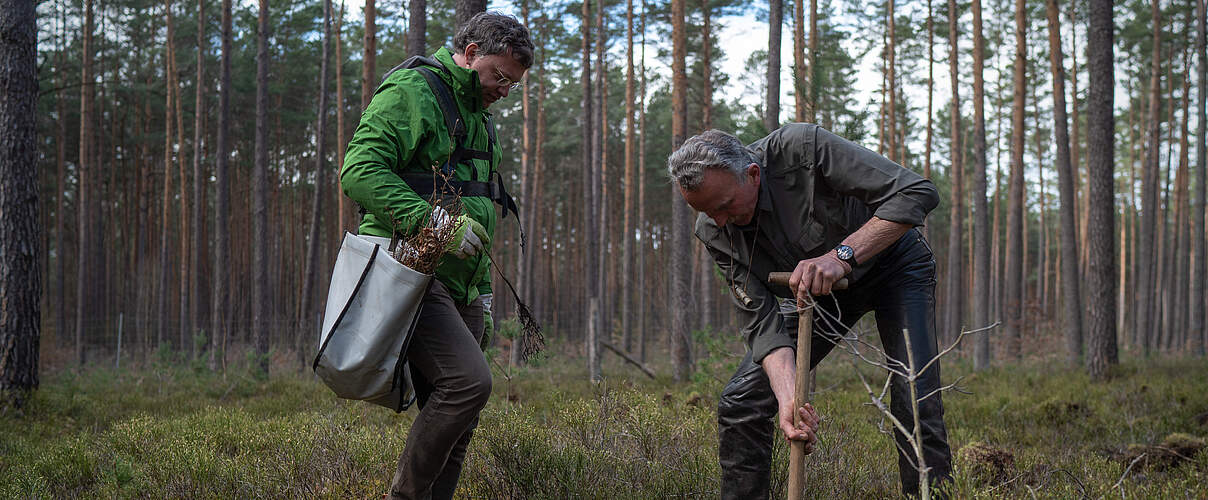 Baumpflanzaktion in der Uckermark © Sonja Ritter / WWF