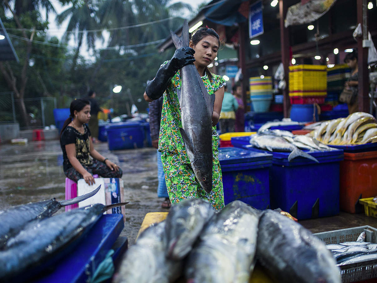 Fischerhändlerin Myanmar © Hkun Lat / WWF-US