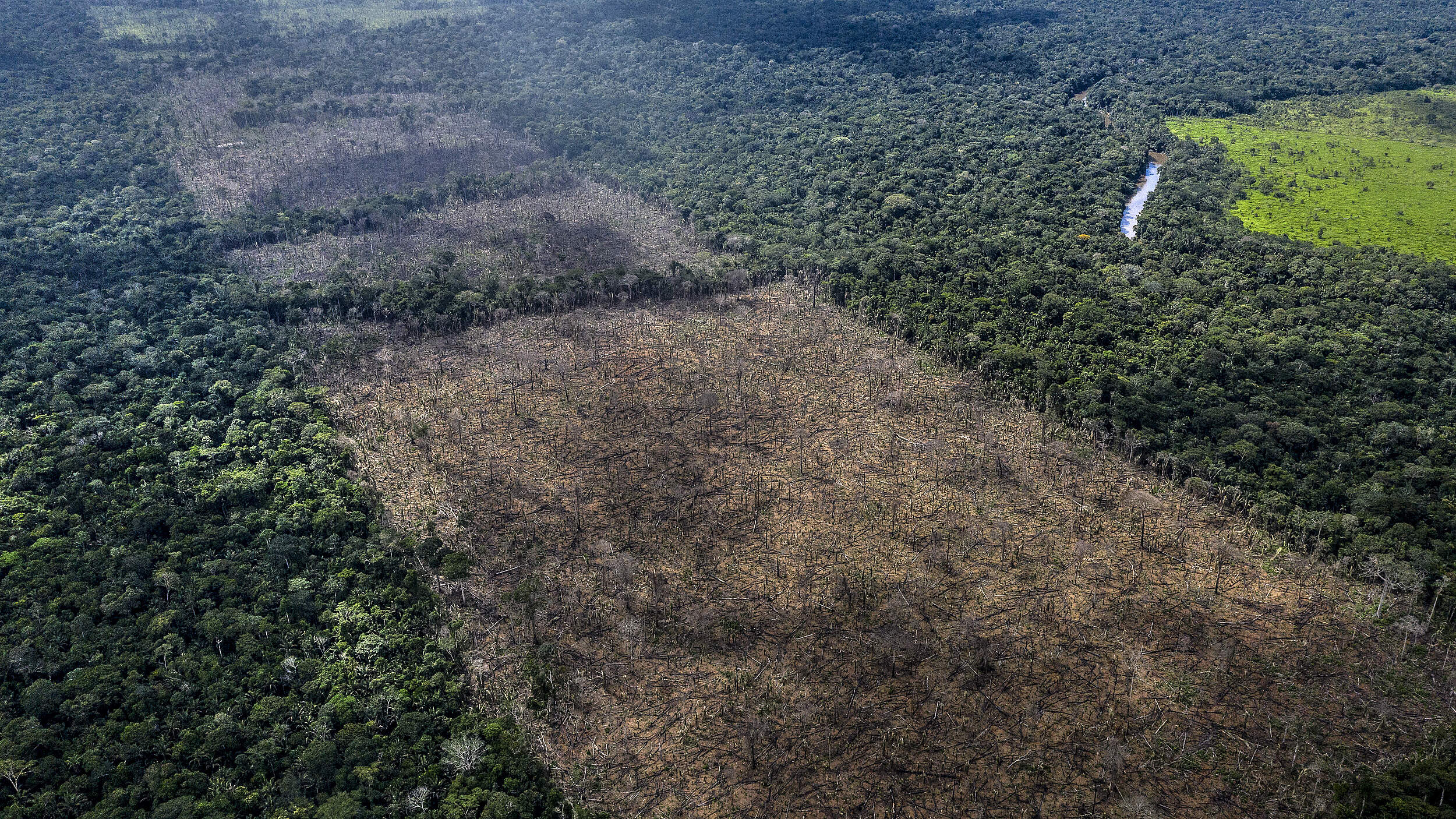 Illegale Abholzung in indigenen Territorien in Rondonia © Marizilda Cruppe / WWF UK