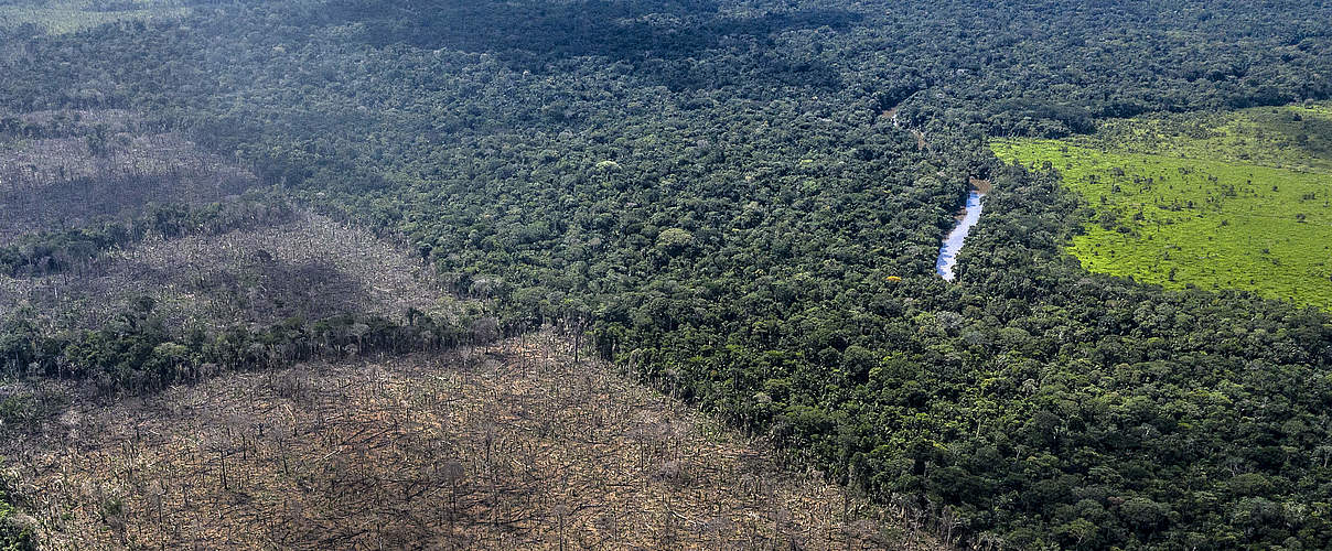 Illegale Abholzung in indigenen Territorien in Rondonia © Marizilda Cruppe / WWF UK