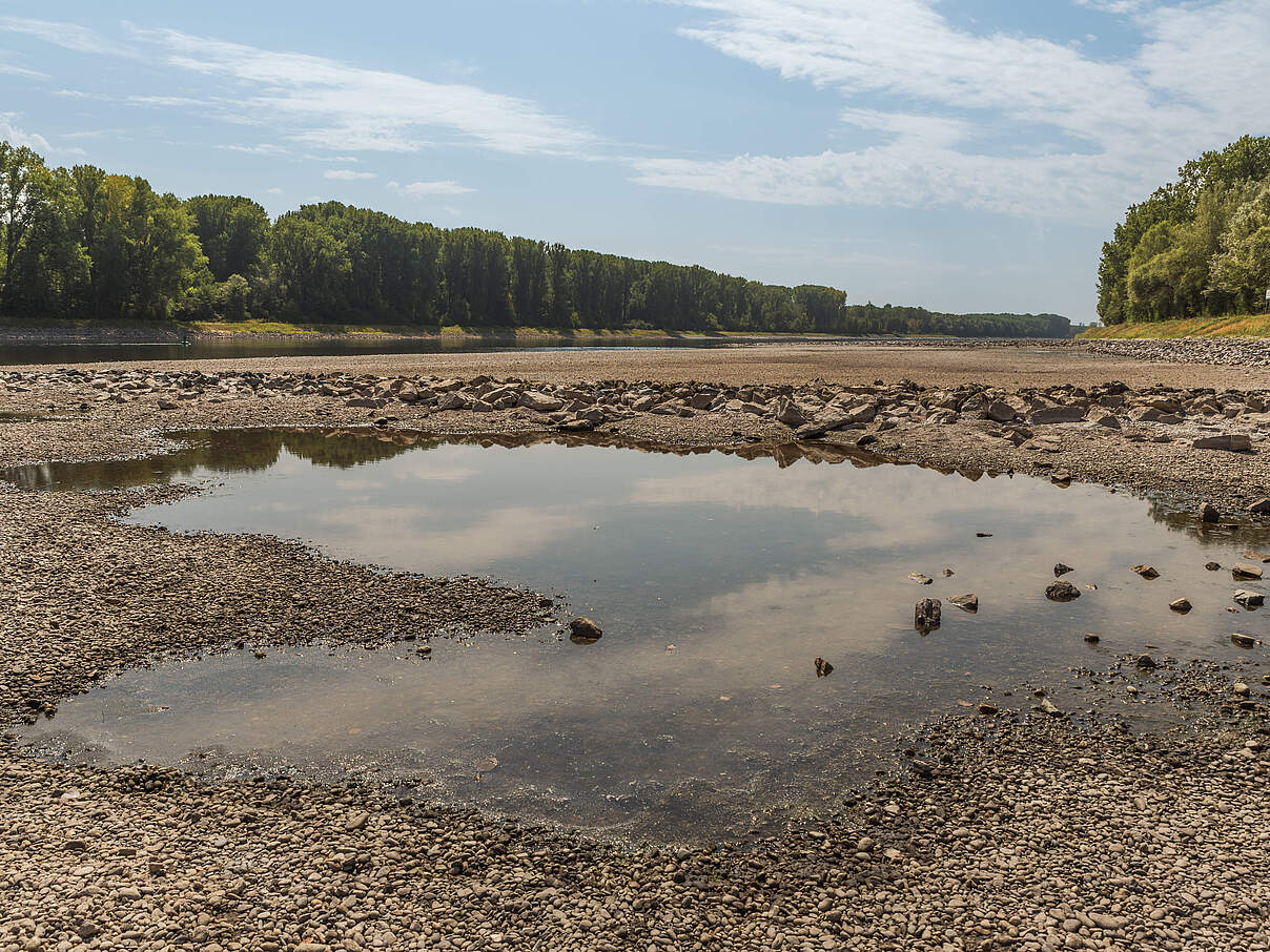 Trockenes Flussbett des Rheins mit flachen Pfützen während der Sommerdürre nahe Germersheim © Conny Pokorny/iStock/GettyImages