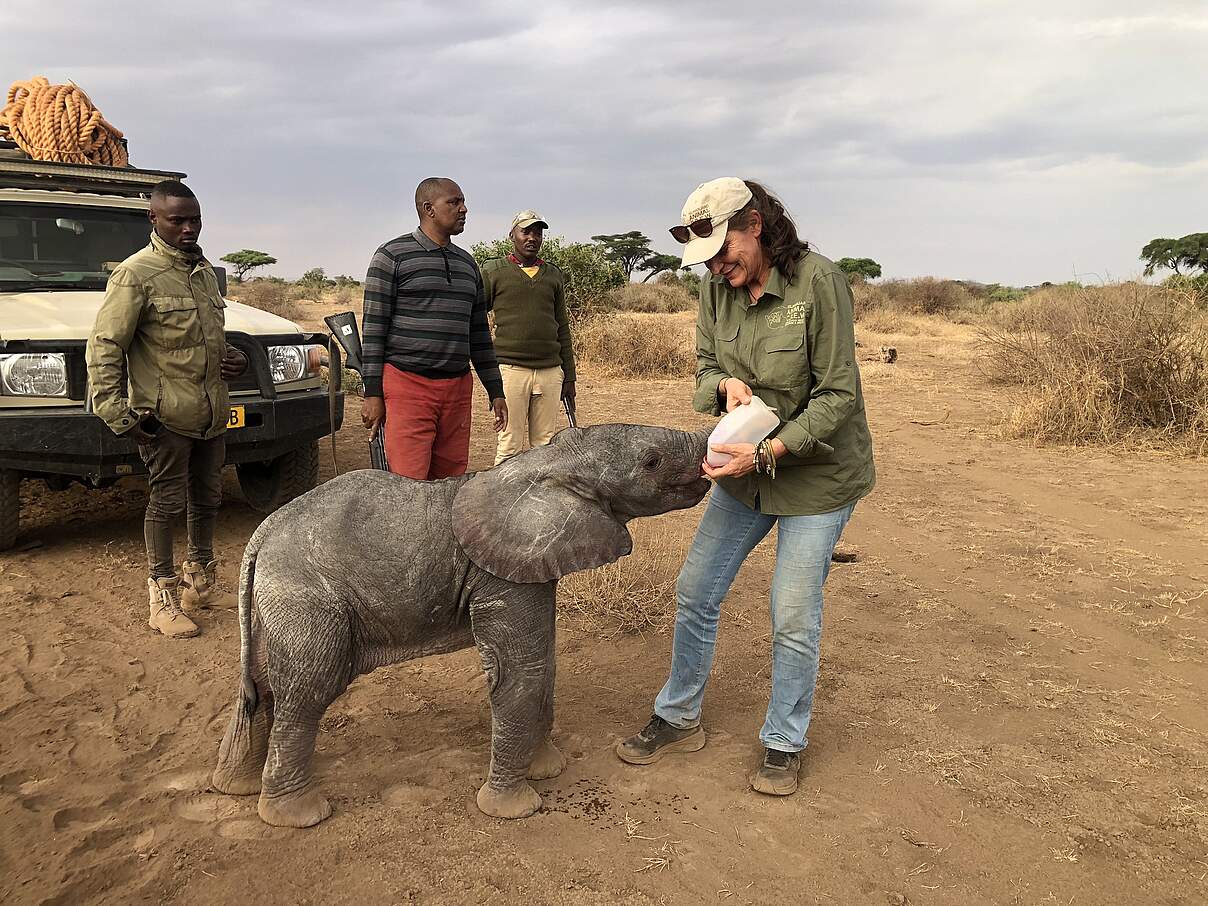 Tierärztin Elisabeth Stegmaier gibt dem kleinen Elefantenkalb eine Milchration zur Stärkung © KiliCREW