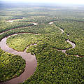 Regenwald im Amazonasgebiet © Brent Stirton / Getty Images /WWF