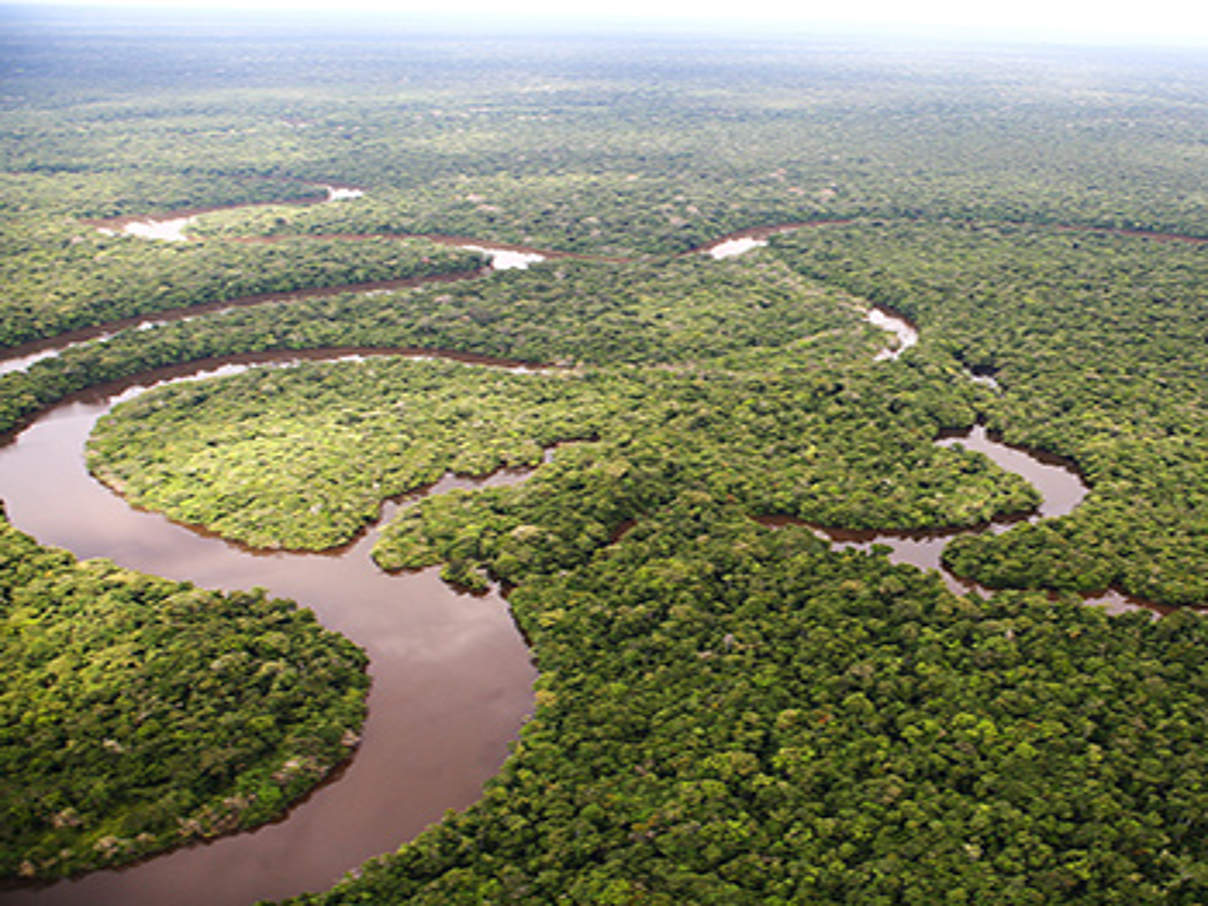 350 204030 Amazonas Regenwald c Brent Stirton Getty Images WWF Regenwald im Amazonasgebiet © Brent Stirton / Getty Images /WWF