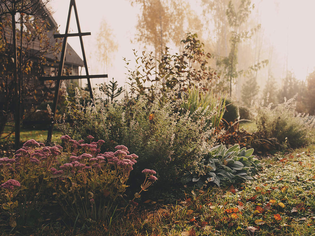 Garten © GettyImages