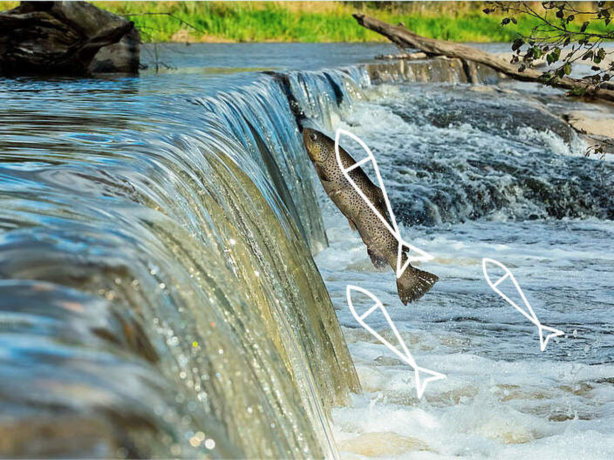 Rivers Unlocked © WWF-NL Rivers Unlocked © WWF-NL