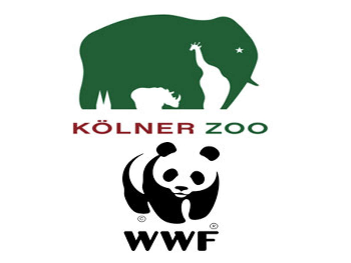 WWF & Kölner Zoo: Gemeinsam für den Tiger 