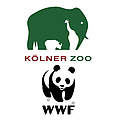 WWF & Kölner Zoo: Gemeinsam für den Tiger 