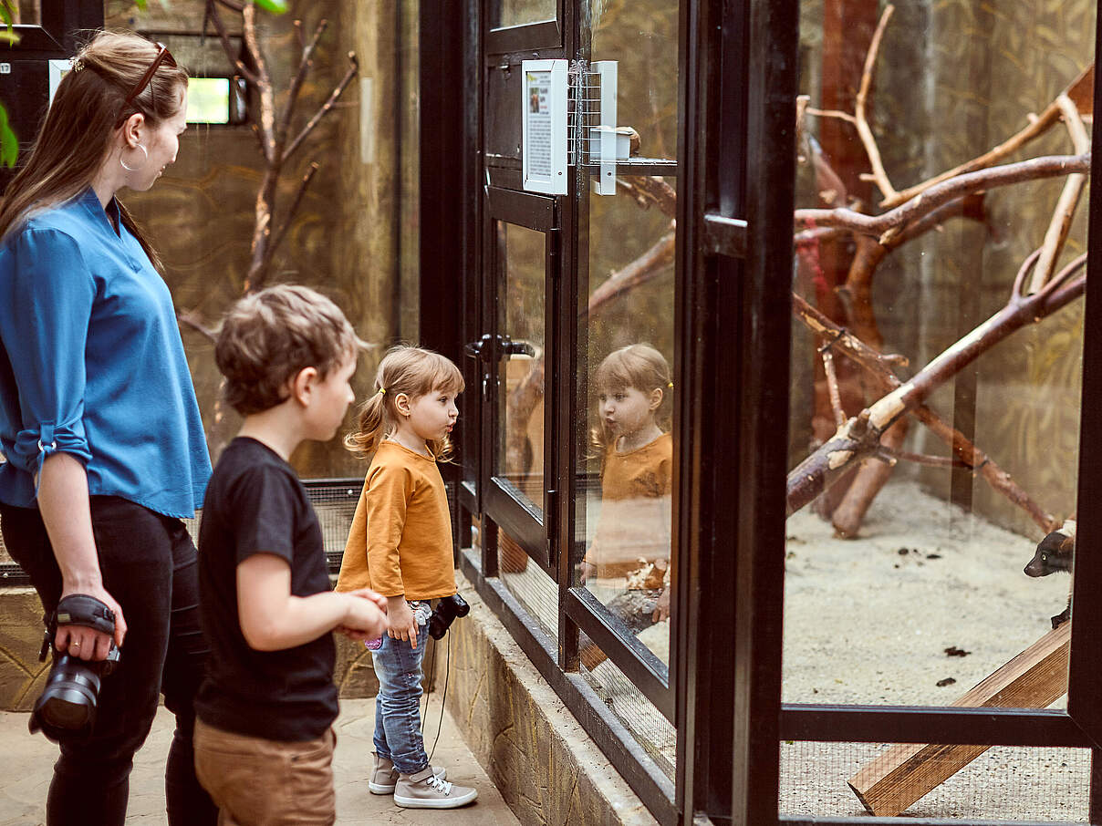 Familie vor einem Gehege in einem Zoo ©Alexander Safonov/iStock/GettyImages Familie vor einem Gehege in einem Zoo ©Alexander Safonov/iStock/GettyImages