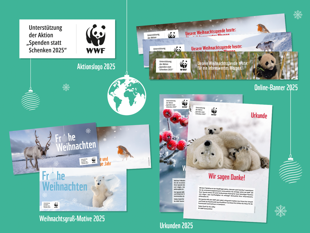 Aktionsmaterialien der Spenden statt Schenken-Aktion © WWF