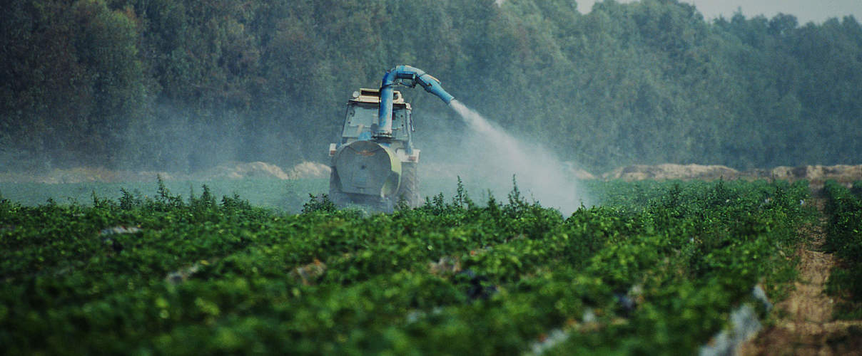 Feld wird mit Pestiziden besprüht © Michel Gunther / WWF