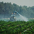 Feld wird mit Pestiziden besprüht © Michel Gunther / WWF