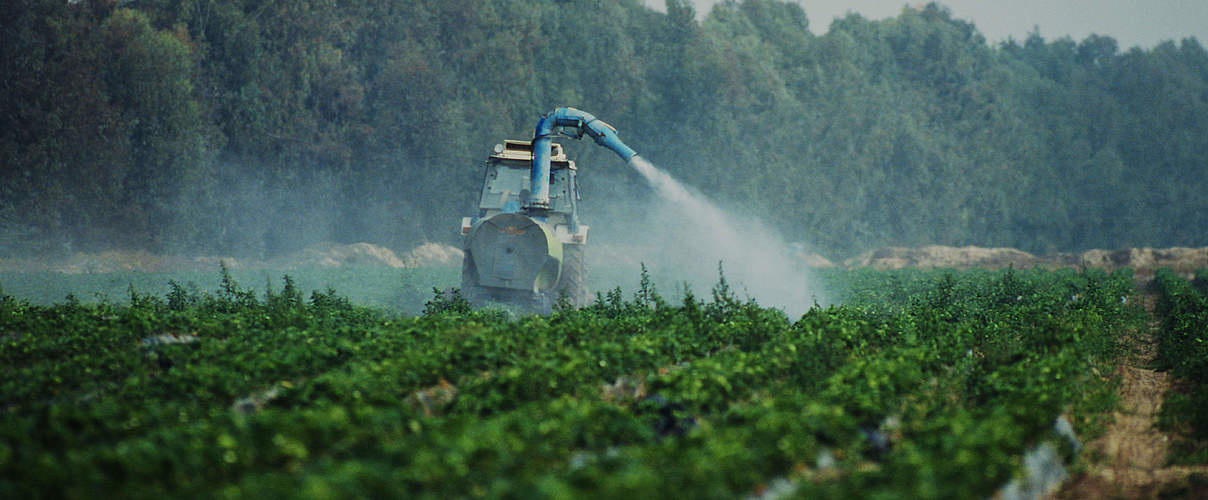 Feld wird mit Pestiziden besprüht © Michel Gunther / WWF