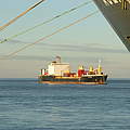 Containerschiffe in der Elbmündung © Karl-Ulrich Stocksieker / WWF