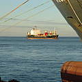 Containerschiffe in der Elbmündung © Karl-Ulrich Stocksieker / WWF