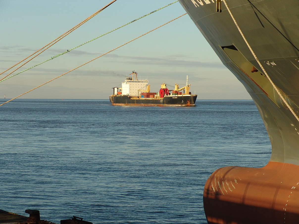 Containerschiffe in der Elbmündung © Karl-Ulrich Stocksieker / WWF