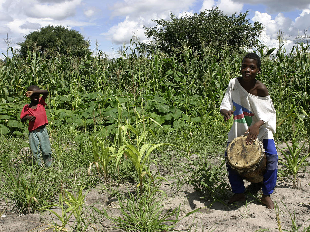 Farmer mit Elefanten-Trommel © Folke Fulf / WWF