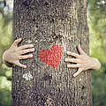 Baum-Umarmung mit Herz © Brian A Jackson / iStock Getty Images