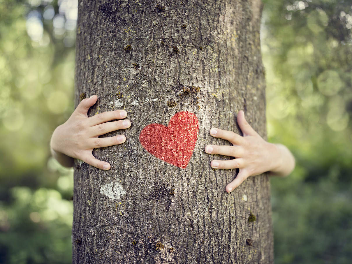 Baum-Umarmung mit Herz © Brian A Jackson / iStock Getty Images