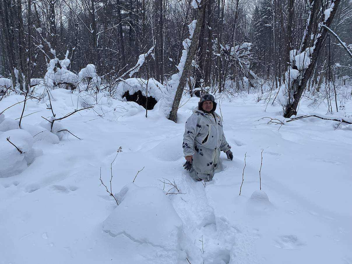 Wildhüter versinkt im Schnee © Mikhail Moiseev