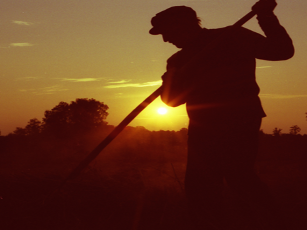350 Bauer Ernte Sonnenuntergang c Marcin Idzkowski WWF WWF fordert effektive Agrar-Subventionen anstatt Gießkanne © Marcin Idzkowski / WWF