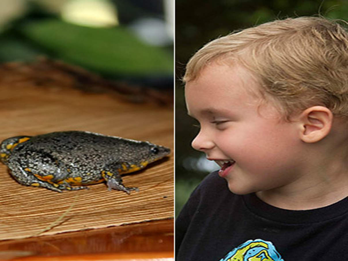 350 Froschentdecker c Adam Dixon Ilka Petersen WWF