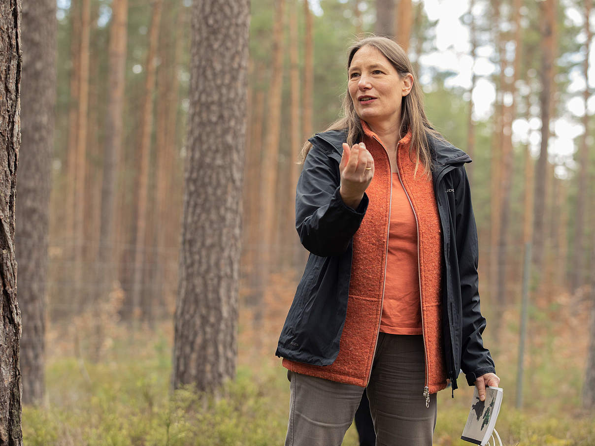 Pflanzaktion in der Uckermark für den Wald der Zukunft