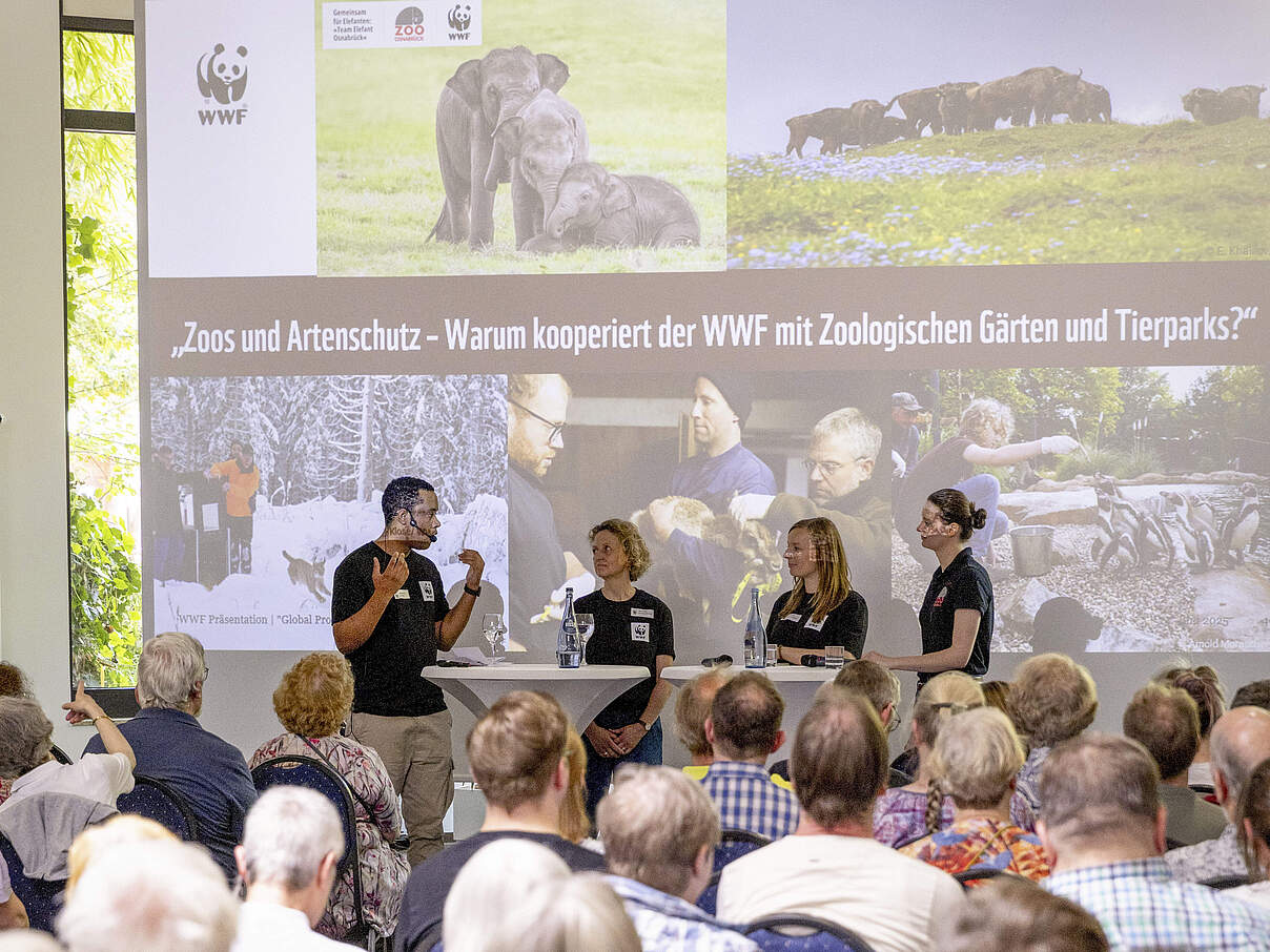WWF-Team im Gespräch mit der Veterinärmedizinerin des Zoos Osnabrück über gemeinsame Ansätze im Artenschutz.