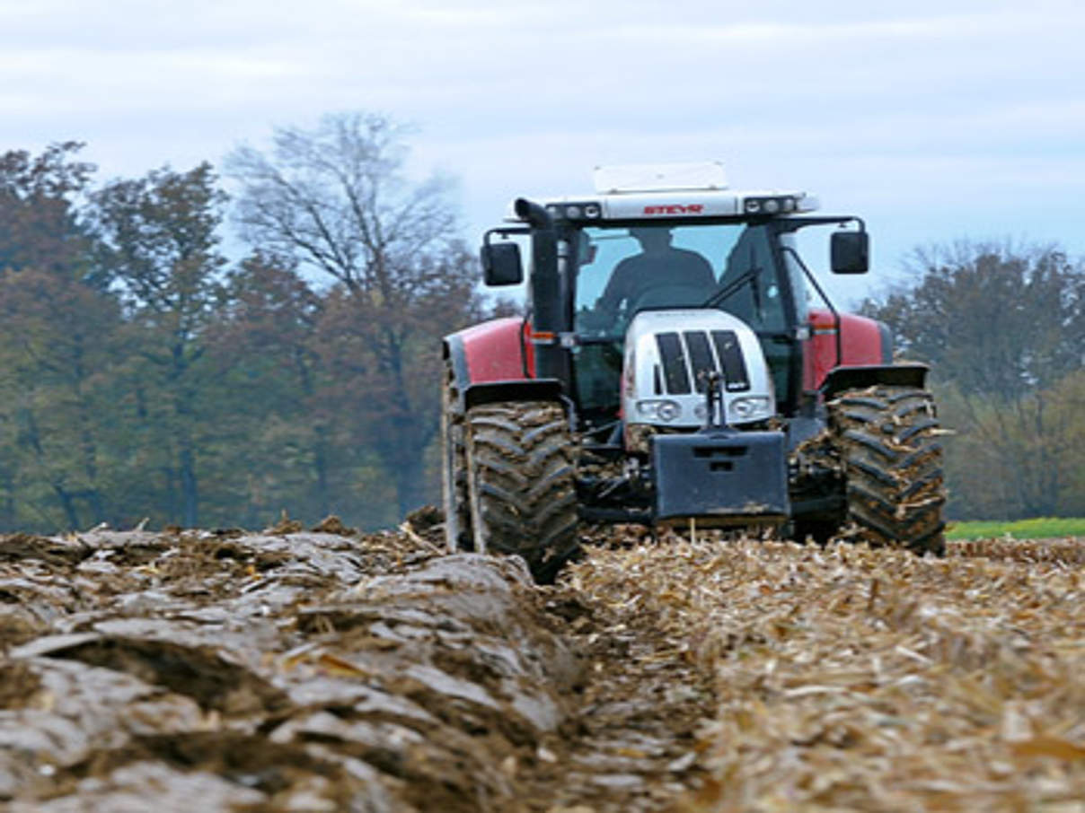 Bewirtschaftung eines Maisackers © agrarfoto