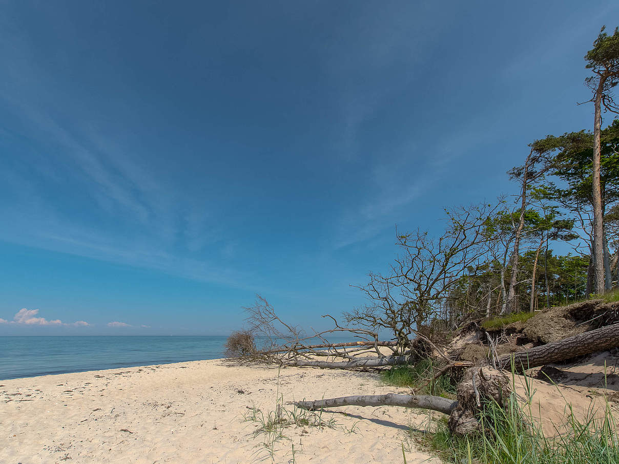 Weststrand Fischland-Darß © Ralph Frank / WWF