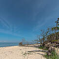 Weststrand Fischland-Darß © Ralph Frank / WWF