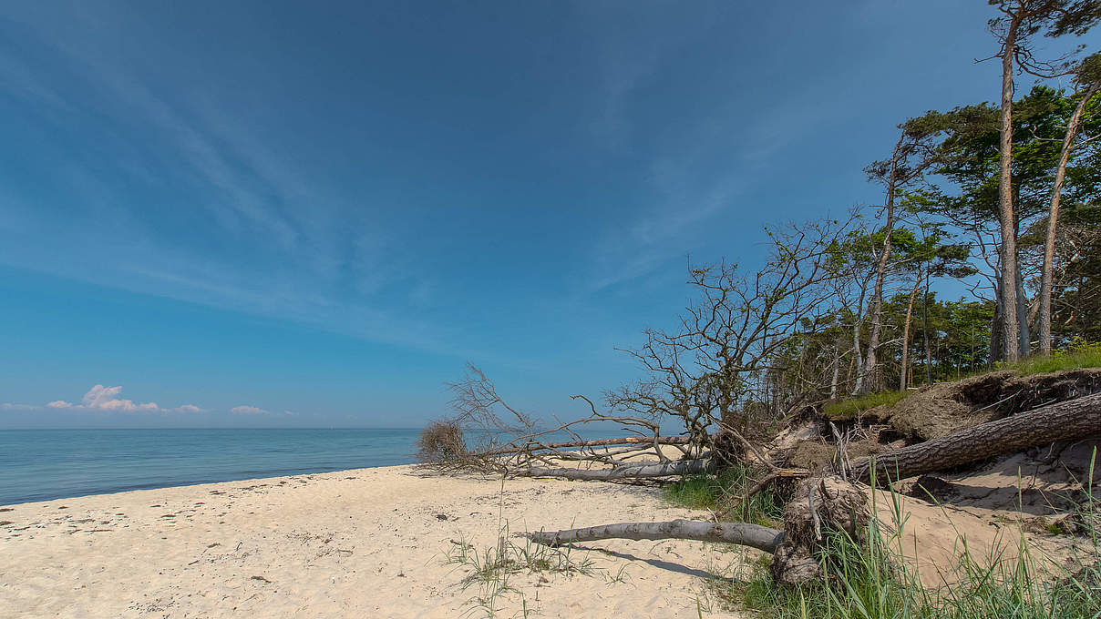 Weststrand Fischland-Darß © Ralph Frank / WWF