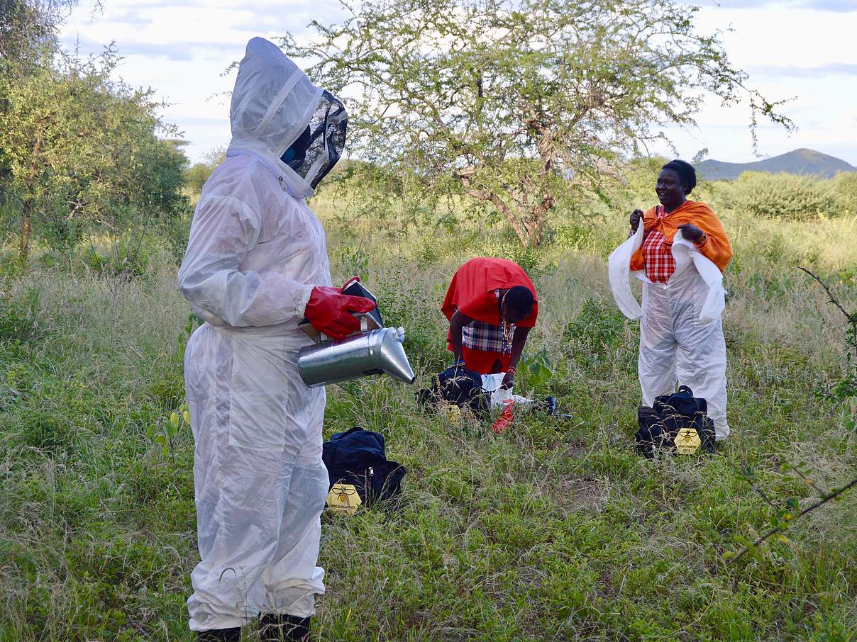 Die Imkerinnen bei der Arbeit © WWF Kenia