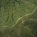 Luftbild über Borneo © Aaron Gekoski / WWF US